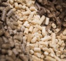 12 hechos fascinantes sobre el combustible de pellets de madera€
€