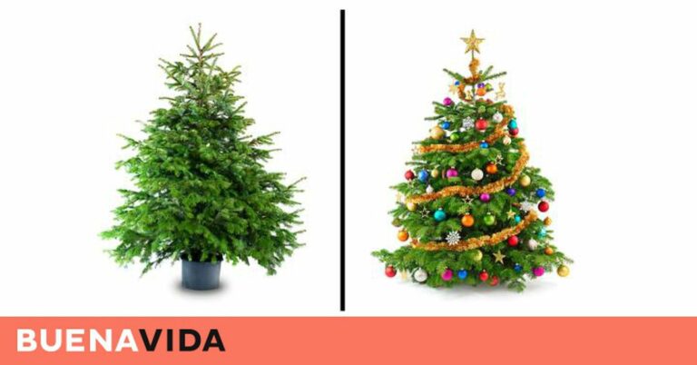 La verdadera guía del árbol de Navidad
